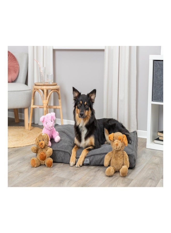 تريكسي لعبة تريكسي بي إيكو إينو القطيفة للكلاب، مناسبة لجميع الكلاب، 16 بوصة، لعبة ممتعة وناعمة بدون صوت، مصنوعة من مواد معاد تدويرها بنسبة 98% - Image 2